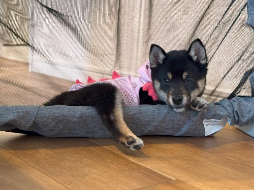 すねてる